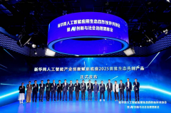 适配政策阐发、多模态内容生成等场